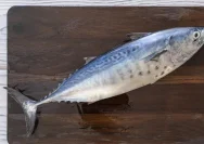 Ikan tuna cakalang yang sering dikonsumsi masyarakat